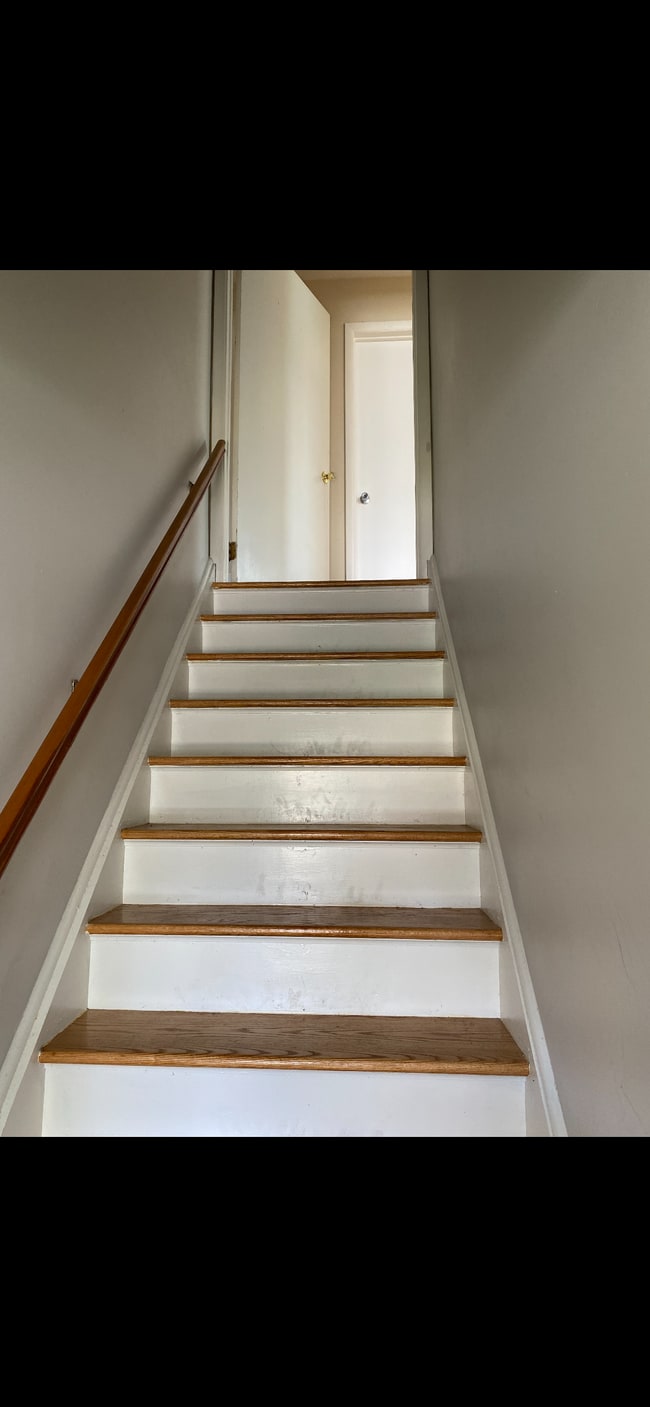 207 Gertrude Ter in Dunellen, NJ - Building Photo - Building Photo