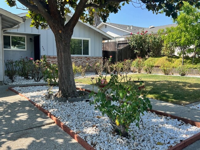 560 Burlington Dr in Vacaville, CA - Building Photo - Building Photo