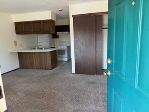 Terraceview Apartments in Toledo, OH - Building Photo - Building Photo