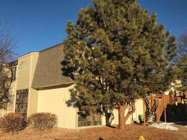 property at 1420 Birch St