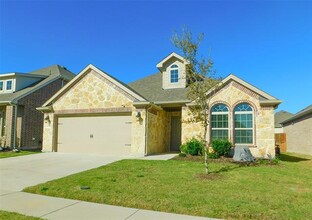 10937 Gold Pan Trail in Aubrey, TX - Building Photo - Building Photo