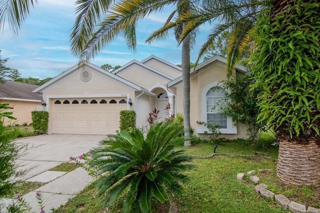 314 Fountainview Cir in Oldsmar, FL - Foto de edificio - Building Photo