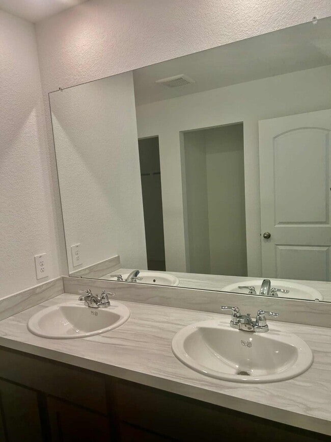 1002 Muscadine Vine Ln in Houston, TX - Building Photo - Building Photo