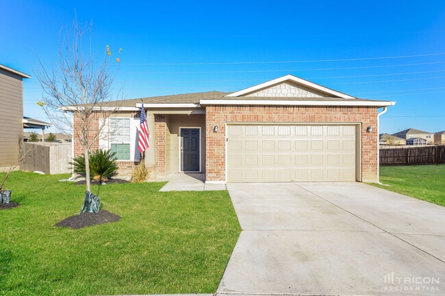 219 Golden Fawn