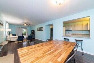 43 Brigantine Ct in St. Augustine, FL - Building Photo - Building Photo