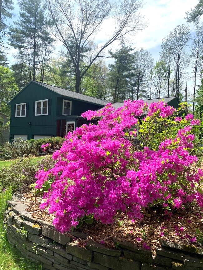 property at 8 Elizabeth Ln