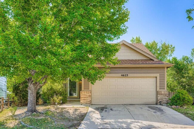 4625 Double Lasso Ct in Colorado Springs, CO - Building Photo - Building Photo