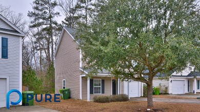 233 Arbor Falls Dr in Columbia, SC - Building Photo - Building Photo