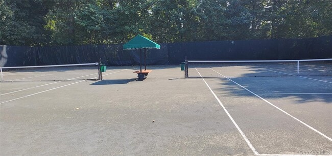 91 Duck Pond Dr in Manhasset, NY - Building Photo - Building Photo