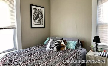 359 Windsor St in Cambridge, MA - Building Photo - Building Photo