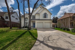 19 Tender Violet Pl in The Woodlands, TX - Building Photo