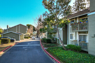 Oak Knoll Heights in Oakland, CA - Building Photo - Building Photo