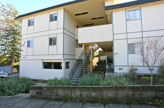 Palm Avenue Apartments in Sebastopol, CA - Building Photo - Building Photo