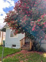 1917 N 50th St in Seattle, WA - Building Photo