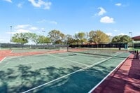 17338 Turquoise Stream Dr photo'