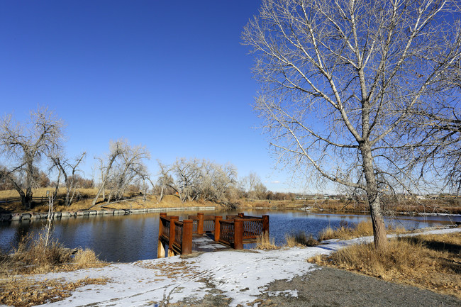 Apartments for rent in West Centennial, CO