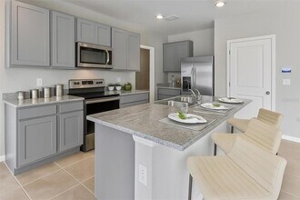 16632 Mosaic Oar Dr in Wimauma, FL - Building Photo - Building Photo