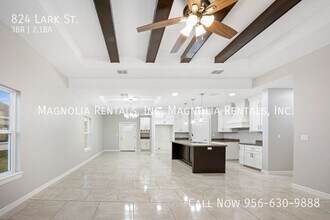 824 Lark St in Alamo, TX - Building Photo - Building Photo