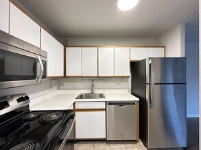 1350 N Dearborn St, Unit J05W in Chicago, IL - Building Photo - Building Photo