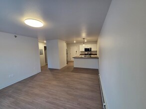 211 1st Ave NW in Hankinson, ND - Building Photo - Building Photo