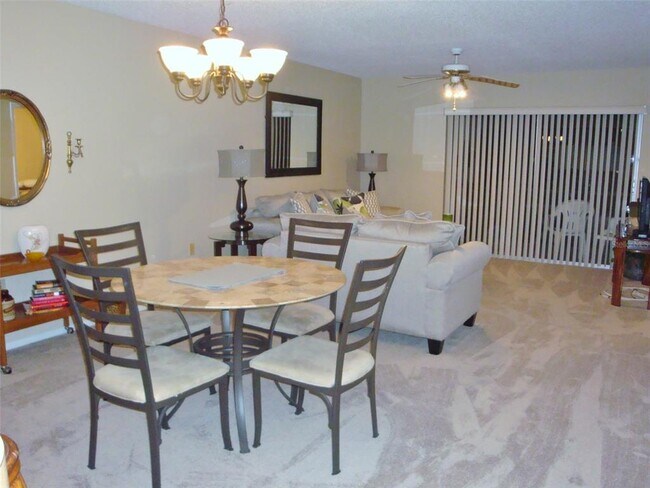 244 Cypress Ln in Oldsmar, FL - Building Photo - Building Photo