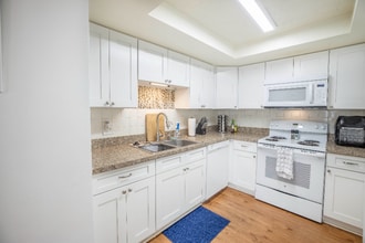 411 Marjon Ave in Dunedin, FL - Foto de edificio - Building Photo