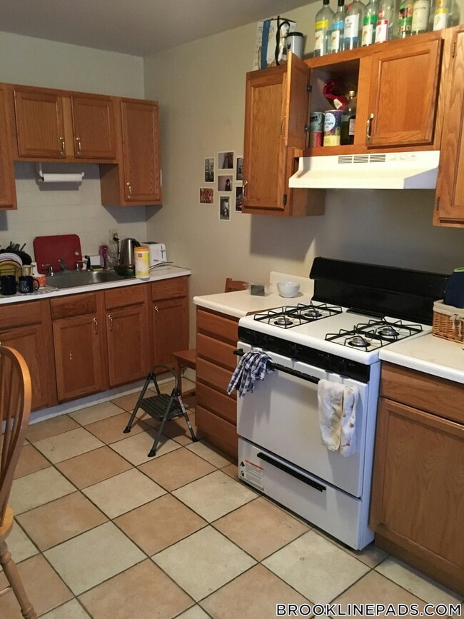 123 Brook St in Brookline, MA - Building Photo - Building Photo