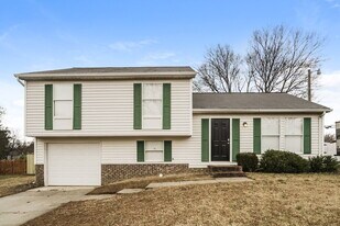 10925 Magenta Ln in Charlotte, NC - Building Photo