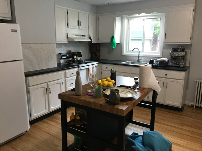 231 Pawling Ave in Troy, NY - Building Photo - Building Photo