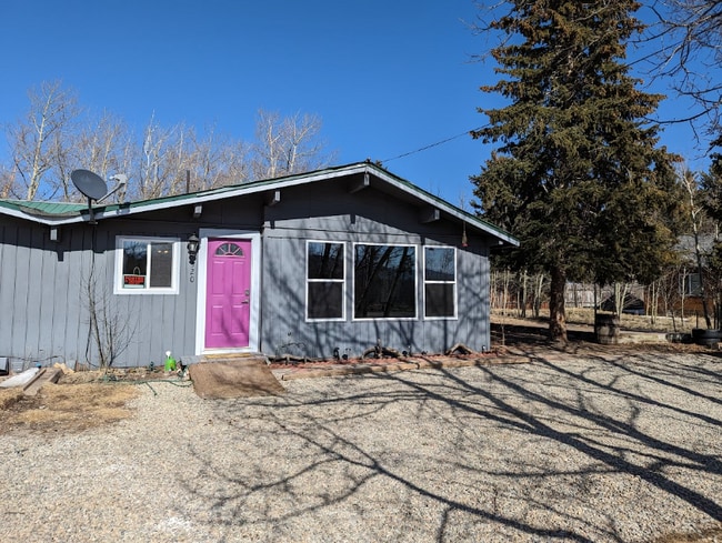 320 Beaver Creek Rd in Fairplay, CO - Foto de edificio - Building Photo