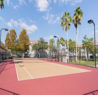 The Boot Ranch Apartments photo'