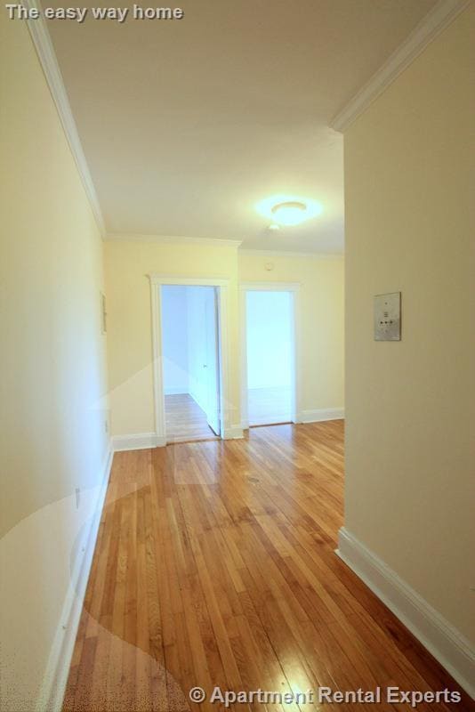 21 Wendell St, Unit #18 in Cambridge, MA - Building Photo - Building Photo