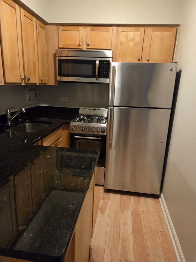 2629 N Hampden Ct in Chicago, IL - Building Photo - Building Photo