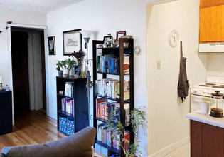 80 Trowbridge St, Unit 64 in Cambridge, MA - Building Photo - Building Photo