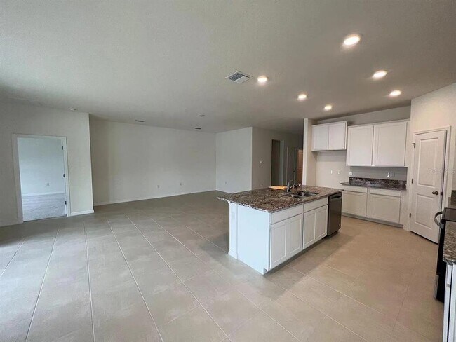 13542 Golden Lime Ave in Spring Hill, FL - Building Photo - Building Photo