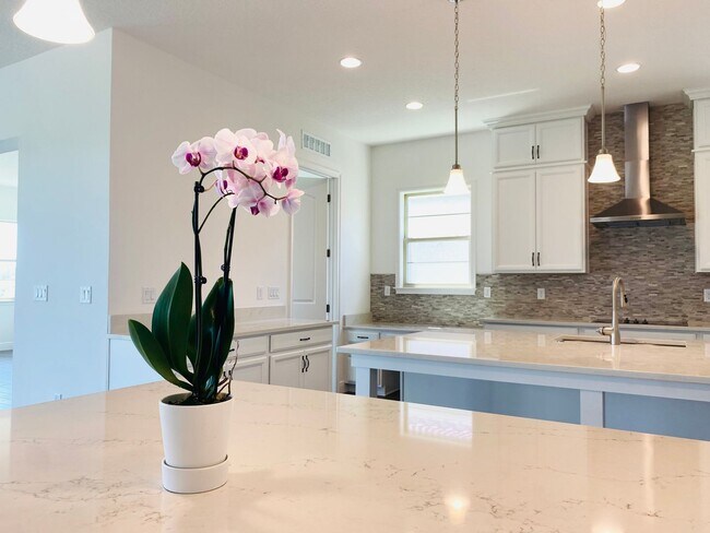 13652 Abberwick Dr in Orlando, FL - Building Photo - Building Photo