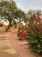 10929 E Yucca St in Scottsdale, AZ - Building Photo - Building Photo