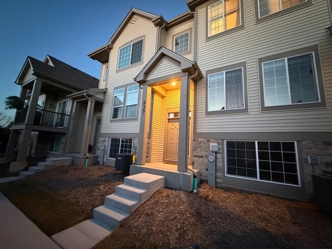 235 Regency Ct in Wauconda, IL - Foto de edificio - Building Photo