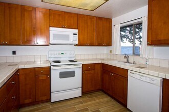 31151 Old River Rd in Bonsall, CA - Building Photo - Building Photo