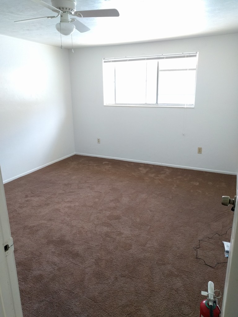 Madison on 20th Apartments in Gainesville, FL