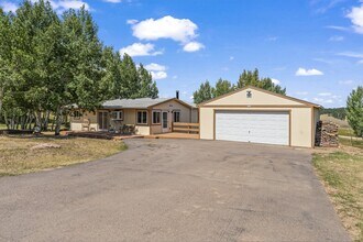 215 Will Scarlet Dr in Divide, CO - Building Photo - Building Photo
