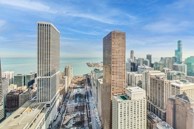 800 N Michigan Ave in Chicago, IL - Building Photo - Building Photo