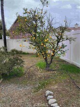 856 Harrow St in Hemet, CA - Building Photo - Building Photo