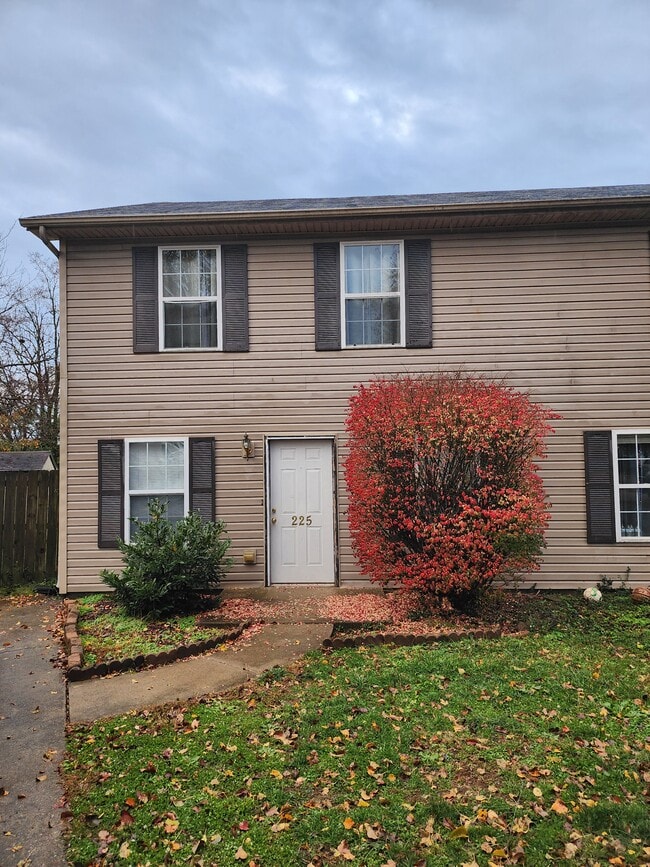 property at 225 Maple Leaf Ln