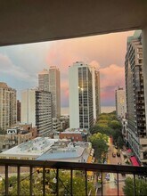 1030 N State St in Chicago, IL - Building Photo - Building Photo