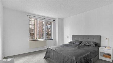 801 S Plymouth Ct in Chicago, IL - Building Photo - Building Photo