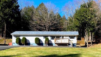 141 Gale Rd in Mongaup Valley, NY - Building Photo