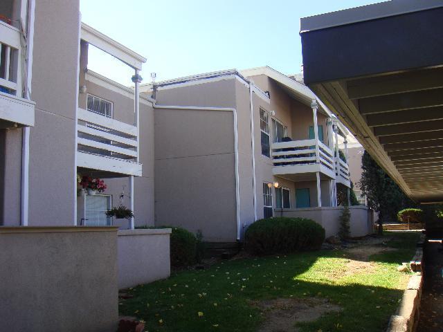 3510 Parkmoor Village Dr in Colorado Springs, CO - Building Photo