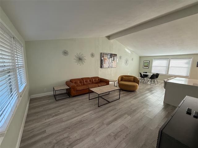 817 Loganwood Ave in Richardson, TX - Foto de edificio - Building Photo