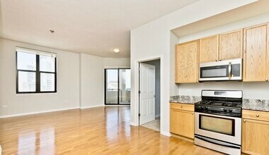 1464 S Michigan Ave in Chicago, IL - Building Photo - Building Photo